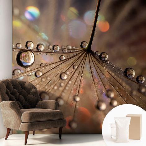 Tapete Vliestapete mit Kleber - trendige Wanddeko - elegant Fototapete für Wohnzimmer - Schlafzimmer Perlende Tropfen 250x250 cm (1/5)
