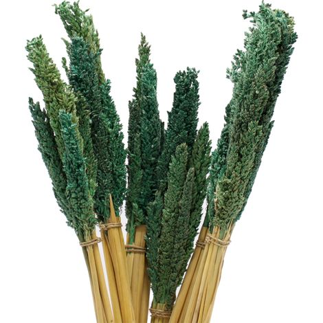 Bouquet d'Herbe du Cantal - Sarcelle- Vendu par 6