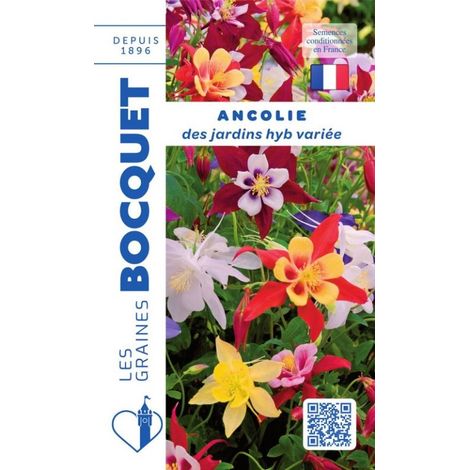Ancolie des jardins variée – Graines de fleurs – Semis de mars à mai – Exposition ensoleillée ou mi-ombre – Floraison prolongée de mai à juillet – Graines Bocquet