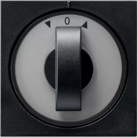 Cubierta de interruptor Gira systeem 55 duradera negra