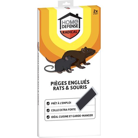 Pièges Englués Contre Rats et Souris - Produit prêt à l'emploi - Très efficace, colle extra forte - Pour cuisine et garde-manger - S'utilise sans appât - Mise en place rapide (1/3)