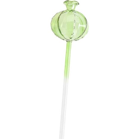 Pointes Darrosage Automatiques pour Plantes en Verre Robuste Faciles À Utiliser pour La Maison Et Le Jardin (1/5)