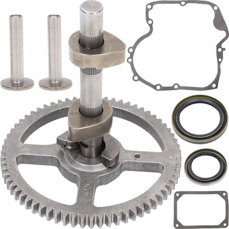 NOCKENWELLE BRIGGS & STRATTON INTEK OHV AVS 10,5–19,5 HP 494433 496884 692421 (1/5)