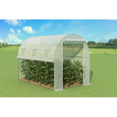 Serre de jardin tunnel 6m2 en acier galvanisé haute qualité - 3X2X2M (1/3)