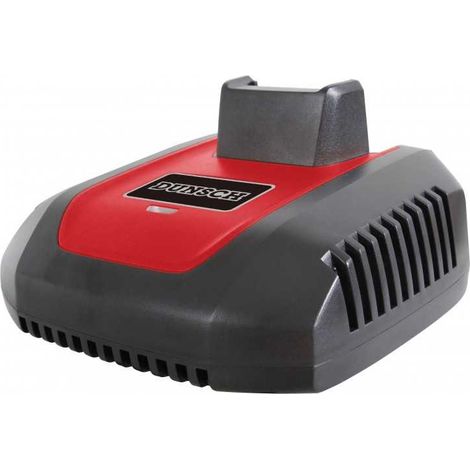 Carica Batteria C40 25F Dunsch (1/2)