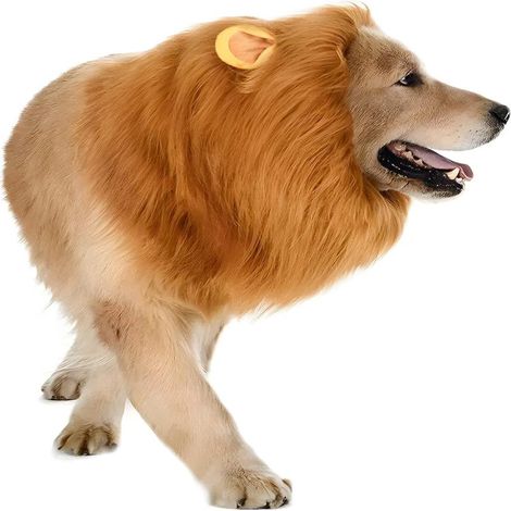 Déguisement de lion pour chien, crinière réaliste, oreilles, taille moyenne à grande (Halloween, anniversaire, cosplay) (1/5)