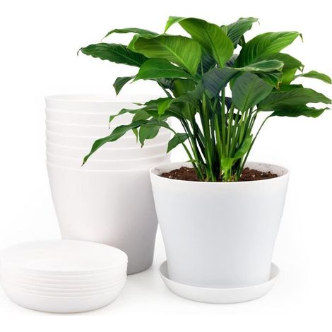8 x 17cm Plastic Plant Pots, Indoor Outdoor Planter, Pot with Trays, Suitable for Seedlings, Cactus, Succulents, Orchids, Herbs - White (1/5)