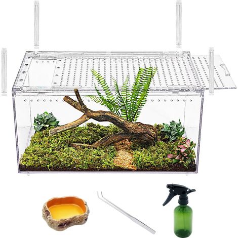 1 Boîtier De Réservoir À Reptiles 40x25x20cm Fermeture Magnétique Cage De Serpent Empilable Pour Insectes