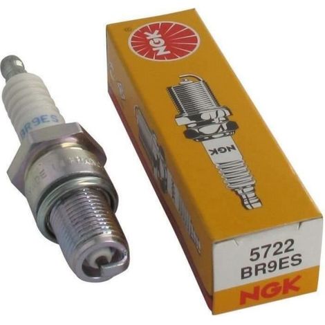 Bougie D'allumage BR9ES - Équivalent RN2C - Pour Moteurs Thermiques De Tondeuses Et Machines Agricoles - Lot De 1 (1/4)