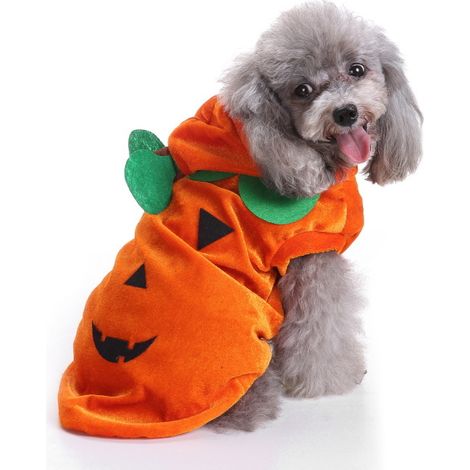 Vêtements pour animaux de compagnie pour fête d'Halloween type 4 (1/3)