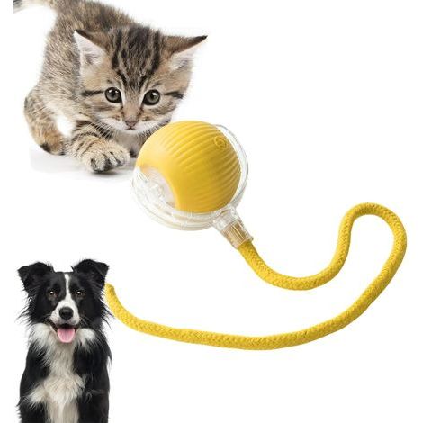 Juguetes interactivos para gatos, juguetes eléctricos para gatos con función de activación, adecuados para perros y gatos pequeños y medianos. (1/4)