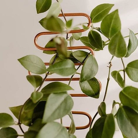 Support grimpant pour plantes de jardin, porte-pot de fleurs créatif et géométrique (1/5)