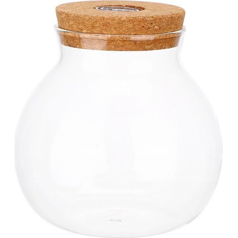 Titre : Bocal en Verre Lumineux avec Bouchon en Liège LED - Mini Aquarium et Terrarium Étanche - Vase Décoratif Transparent 16 cm (1/5)