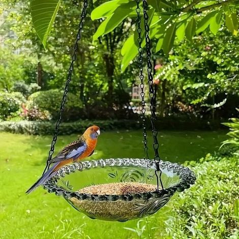 Bain Oiseaux Suspendu - Distributeur Nourriture Oiseaux - 2 en 1 Bain et Distributeur pour Extérieur - Acrylique - 1 Pièce (1/4)