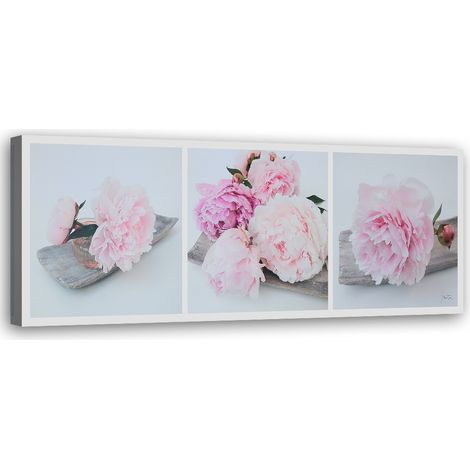 Tableau sur toile Pivoine Fleurs roses 90x30 (1/5)