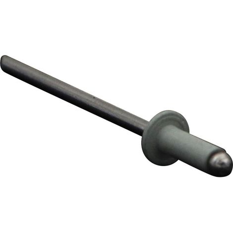 Rivet aveugle tout alu 3.2X8 Tête plate TA RAL7035 gris clair