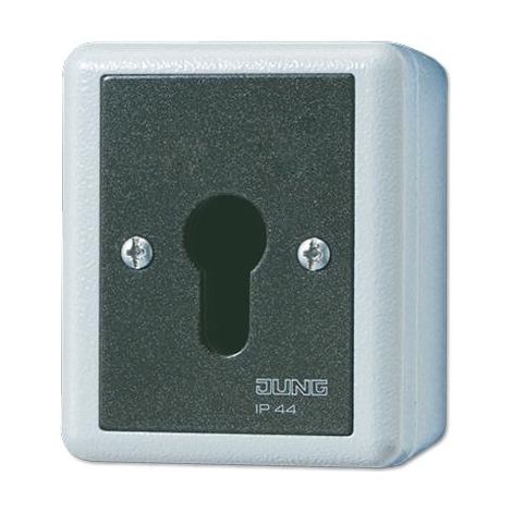 Jung Interruttore a chiave, корпус in alluminio pressofuso, pulsante (commutatore), 1 polo., IP 44, WG 800 833.18 G
