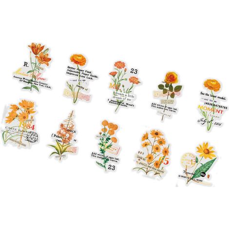 Set mit 10 transparenten Vintage-PET-Blumenaufklebern für Notizbücher, Tagebücher und Scrapbooking – Handgefertigte Dekoration, Typ 2, Blumenaufkleber (1/5)