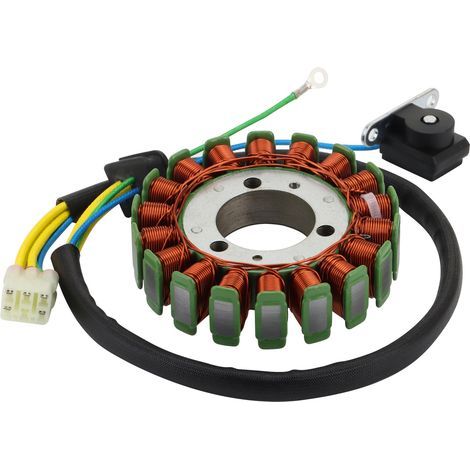 Statorspule für Polaris/Sawtooth 200 ATV/UTV – Ersatzspule für Motorrad-/ATV-Magnetgenerator (1/4)