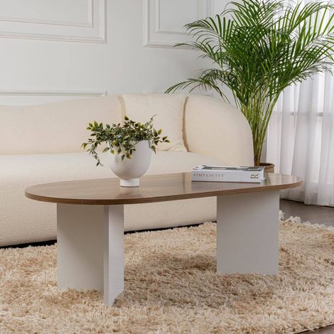 Dmora - Wohnzimmertisch Elain, Niedriger Wohnzimmertisch, Kaffeeregal, Couchtisch für Sofa, 119x60 h40 cm, Walnuss und Weiß (1/5)