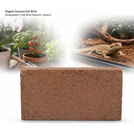 Brique de Coco Compressée Bio 650g Substrat Naturel Rétention d'Eau Idéale pour Jardinage Intérieur et Culture de Plantes Vertes (1/5)