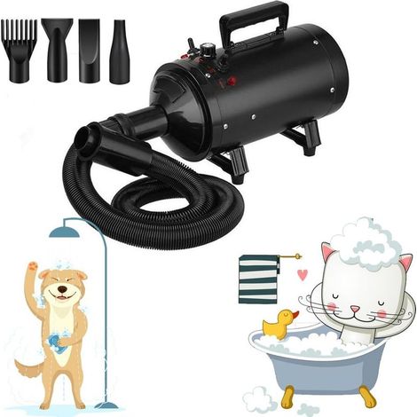 Sèche-Cheveux Silencieux pour Chien, Pulseur Chien 2800W Vitesse Continue, 2 Température: 35°c et 65°c, Sèche-Cheveux Animaux de Compagnie pour Chien/Chat et (1/5)