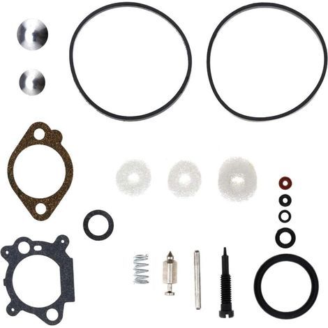 Assortiment de Joints Carburateur Kit de Réparation Reconstruction Moteur pour Briggs Stratton Quantum Max 398183/498261/490937 (1/4)