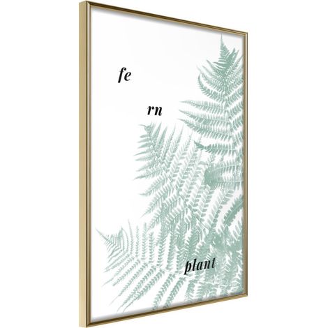 Affiche Murale Encadrée "Pale Green Fern" 30 x 42 cm Or
