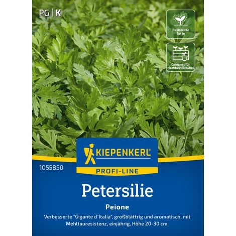 Kiepenkerl Saatgut Profi-Line Petersilien Peione ca. 150 Pflanzen (1/2)
