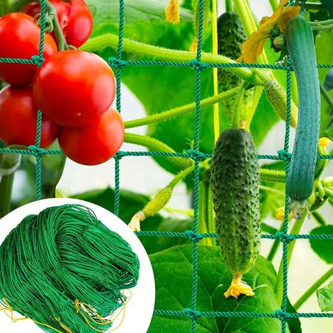 Malla para pepinos, malla para plantas trepadoras, para invernadero, tomates, plantas trepadoras 1,8 x 5 m (1/5)