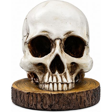 Creative Skull-Shaped Resin Ornament for Halloween, Kitchen & Dining Room Storage and Decoration Rack, Home Display Prop -- 1 Pcs (1/5)