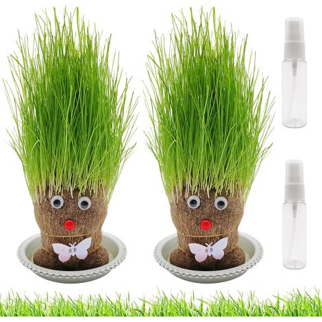Poupée Tête d'Herbe Mini Bonsaï - 2 Plantes Grass Head avec Plateau (M3) (1/5)
