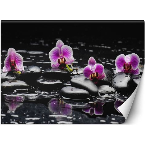 Fototapete Zen-Steine und Orchidee 150x105 cm (1/5)