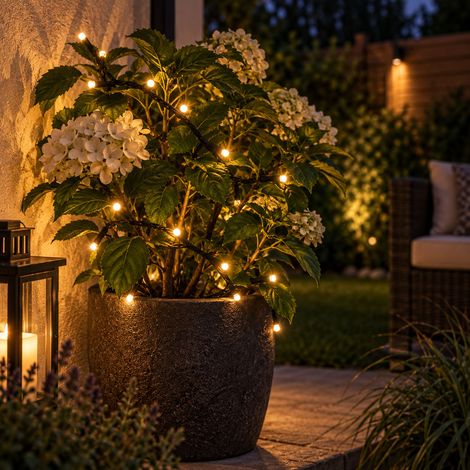 24er LED Outdoor Lichterkette mit Timer-MLK124WTC (1/5)