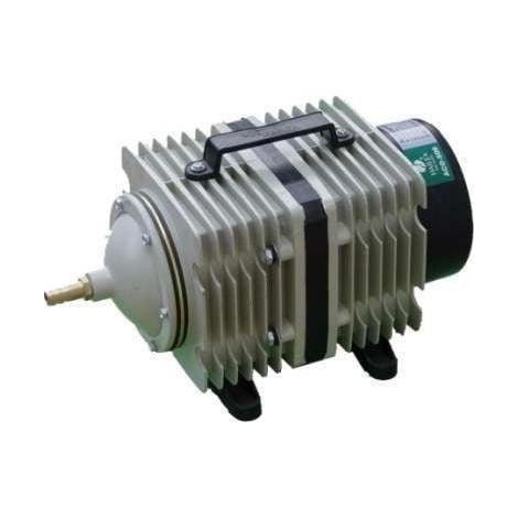 Compresseur d'air 60 litres/minute ACO-318 - HAILEA (1/2)