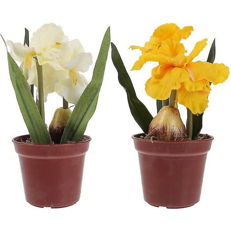 2 pots en plastique pour plantes