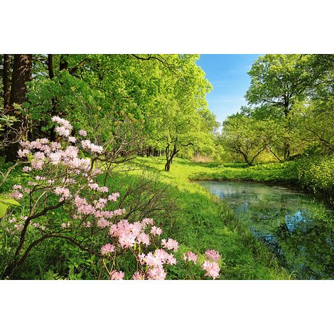 Papier peint panoramique nature arbre soleil printemps | Tapisserie panoramique fleurs jolies salon & cuisine | Papier peint panoramique vert & rose - 384 X 260 cm (8 pièces) (1/2)