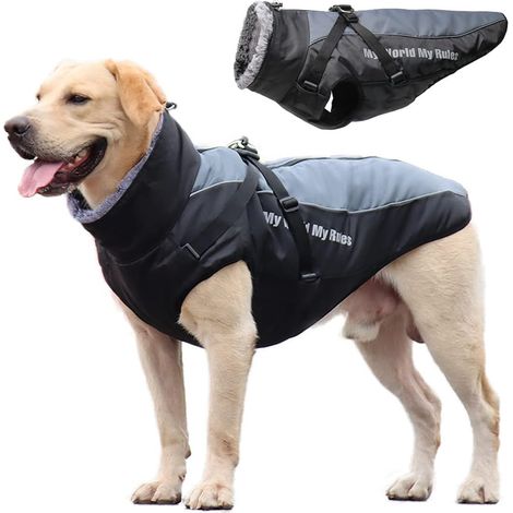 Manteau imperméable pour chien - 2XL (1/5)