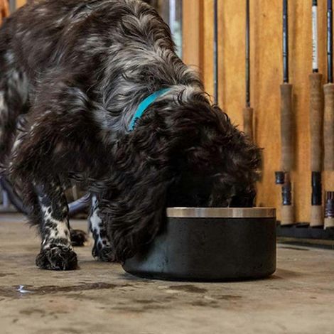 Gamelle de voyage en acier inoxydable pour chiens et chats, gamelle d'eau et distributeur de nourriture pour chatons et autres animaux de compagnie. Cadeau idéal pour nourrir votre animal. (1/4)