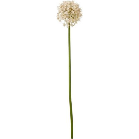 Pink Medium Allium (Single Stem Flower) - Plastic - L16 x W16 x H80 cm - Pink