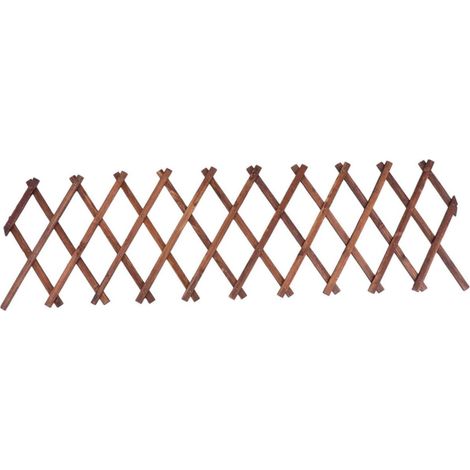 Extensible Bois Carbonis pour Plantes Grimpantes Support (1/5)