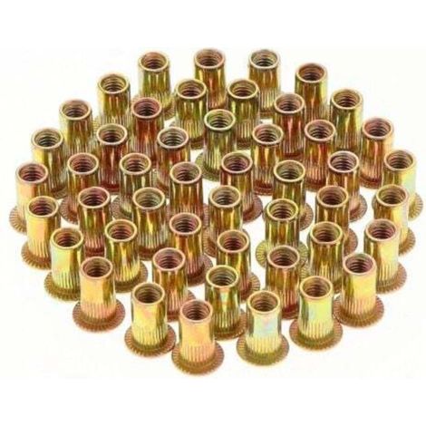 150 Pièces Écrou à Rivet M5 Fileté à Tête Plate, Écrous à Riveter Fileter, Assortiment M5 Rivet Inserts Filetés pour Métal Plastique (10 mm x 13 mm) (1/5)
