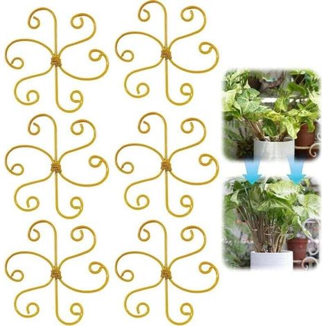 Support de Tronc Monstera réutilisable - , XU,Stabilisateur réutilisable pour Monstera - 6 Accessoires pour - KZQ (1/4)