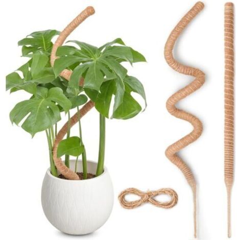 120cm x 2 Tuteur Monstera pour Plantes, kit de Poteau de Mousse Monstera pour Plantes Grimpantes, Tuteur Coco pour Plantes d'intérieur (1/5)