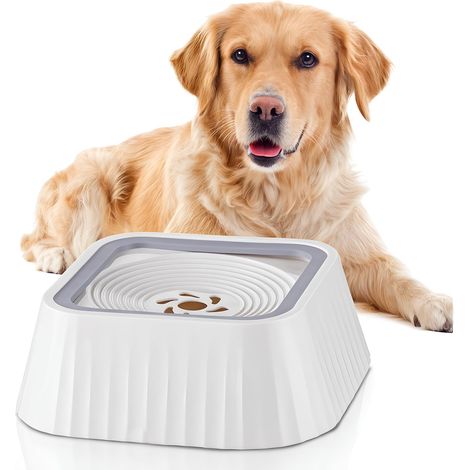 Gamelle d'eau pour chien — Grande capacité (45 oz), anti-renversement. Dotée d'une plaque flottante de sécurité et d'un design surélevé résistant aux éclaboussures.
