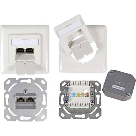 PRISE RÉSEAU ENCASTRABLE INSERT AVEC PLAQUE CENTRALE ET CHÂSSIS CAT 6 EFB ELEKTRONIK ET-25211.2V1 BLANC PUR (RAL 9010) (1/2)