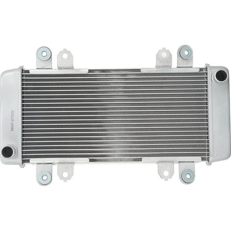 Ensemble de réservoir d'eau de refroidissement de refroidisseur de radiateur de moto, remplacement en aluminium pour NINJA 300 2013 – 2018 argent