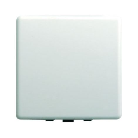 INTERRUPTOR BLANCO (1/2)