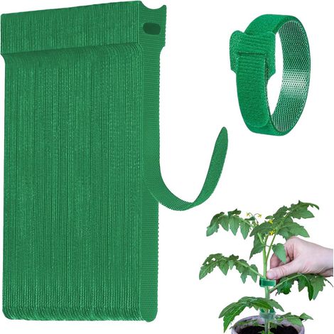 Lot de 150 Attaches Plantes Ajustables – Lien de Jardinage Vert 12x150mm – Ruban de Fixation Réutilisable et Tuteurage Multifonction pour Croissance Soin Légumes Tomates et Fleurs (1/5)