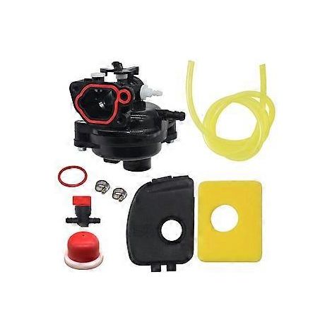799583 593261 595656 591979 591160 Vergaser-Reparatursätze mit 799579 Luftfilter, 595660 Luftfilterdeckel, 594281